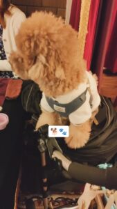 癒されます😊 #ラプランセス京都 #烏丸御池 #四条烏丸グル […]